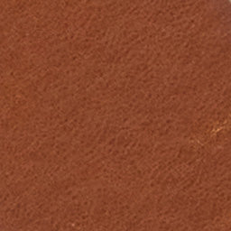 Varana belt - Image 4