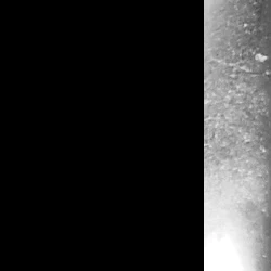 ESNIA BELT - Image 5