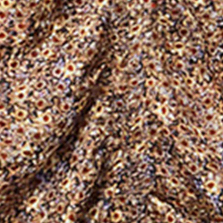 LONEA TOP - Image 6
