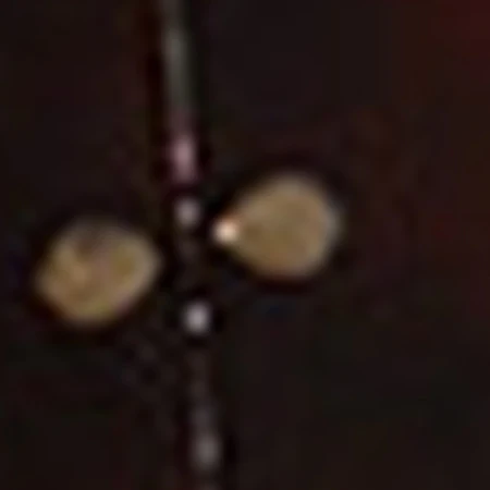 MIKALA MASK - Image 2