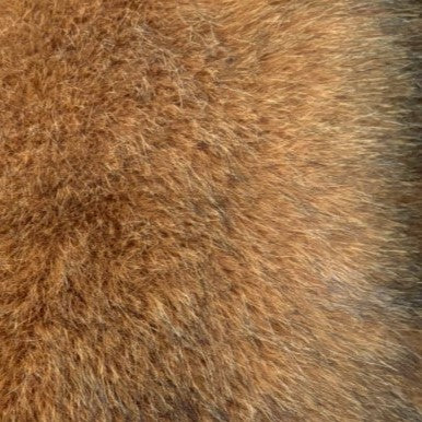 AGLAE COAT - Image 6