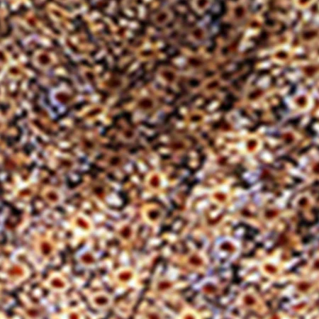 HARMONY DRESS - Image 6